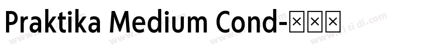 Praktika Medium Cond字体转换